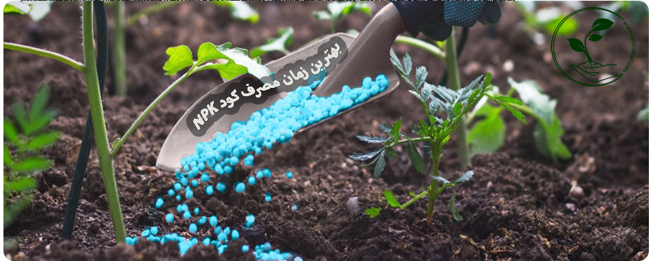 زمان مناسب مصرف کود استاندارد گیاهان در فصول مختلف سال