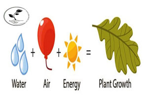نیاز هر گیاه چیست و چگونه آن را تامین کنیم