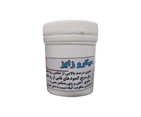 میکروزایز,میکرو زایز انگلستان