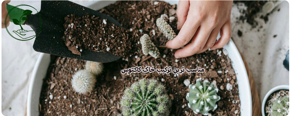 ترکیب سبک و زهکشدار خاک کاکتوس