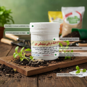 عصاره جلبک دریایی سیتی مکس چین