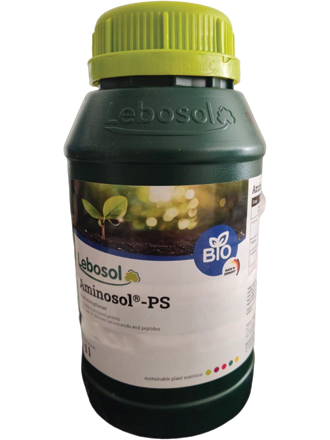 کود مایع اسید آمینه آمینو سول PS لبوسل آلمان | تغذیه کامل و رشد سریع گیاه 1 آمینو اسید لبوسل