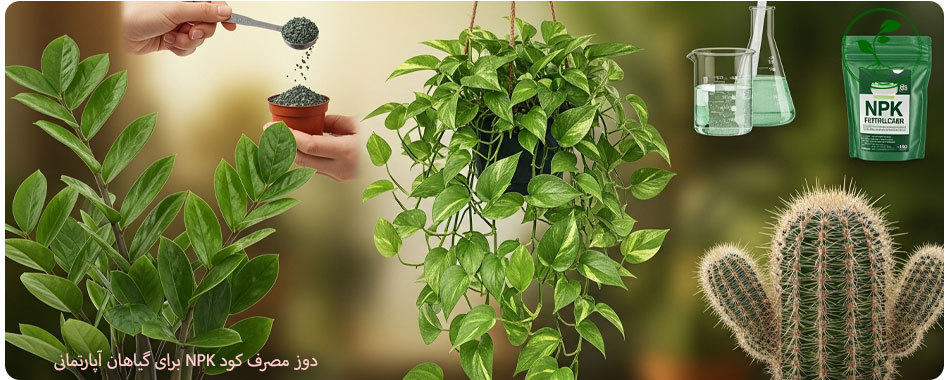 آموزش کامل روش مصرف کود NPK برای گلهای آپارتمانی (راهنمای جلوگیری از سوختگی ریشه) 7 کلاژ دوزهای تخصصی NPK برای پتوس، زاموفیلیا و کاکتوس (با توجه به نیازهای متفاوت)