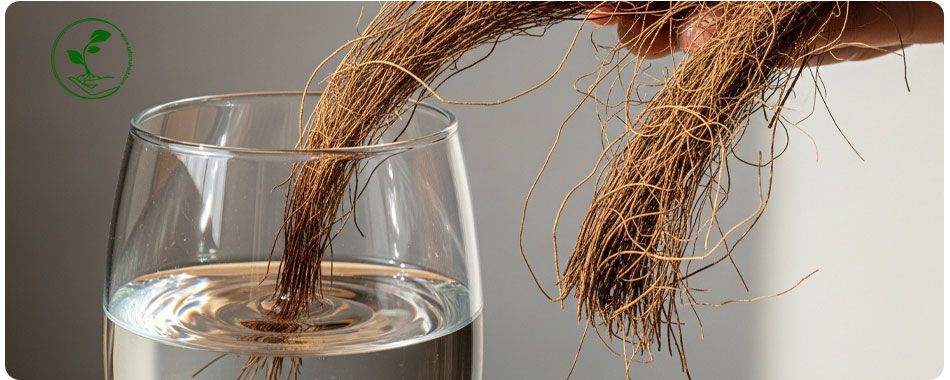 🥥 کوکوپیت چیست؟ راهنمای کامل استفاده، آبگیری و تفاوت با پیتماس 2 کوکوپیت چیست و چگونه آب را تا ۱۰ برابر وزن خود جذب میکند.